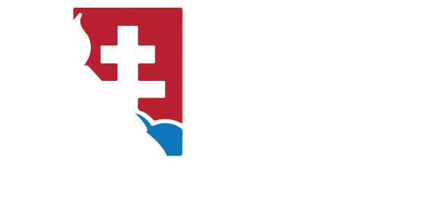 Slovak Association of Private Investigators