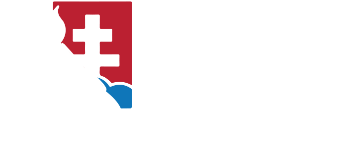Slovak Association of Private Investigators